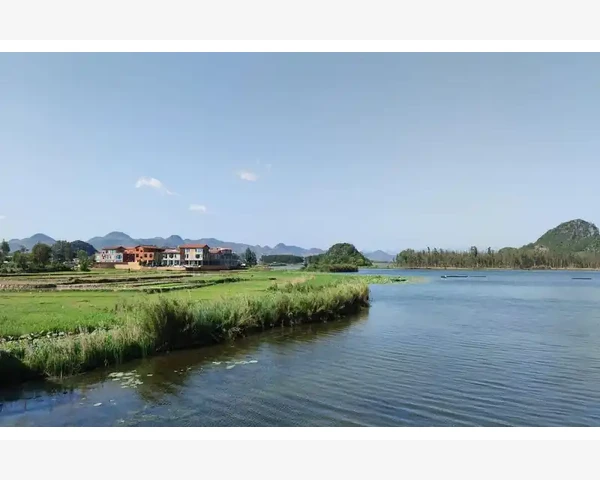 中医秘籍：驱寒之道——传世经典汤药的疗效与选择
